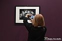 VBS_1716 - Mostra Peter Hince - Queen Experience